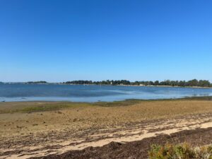 IMG-20261009-WA0013